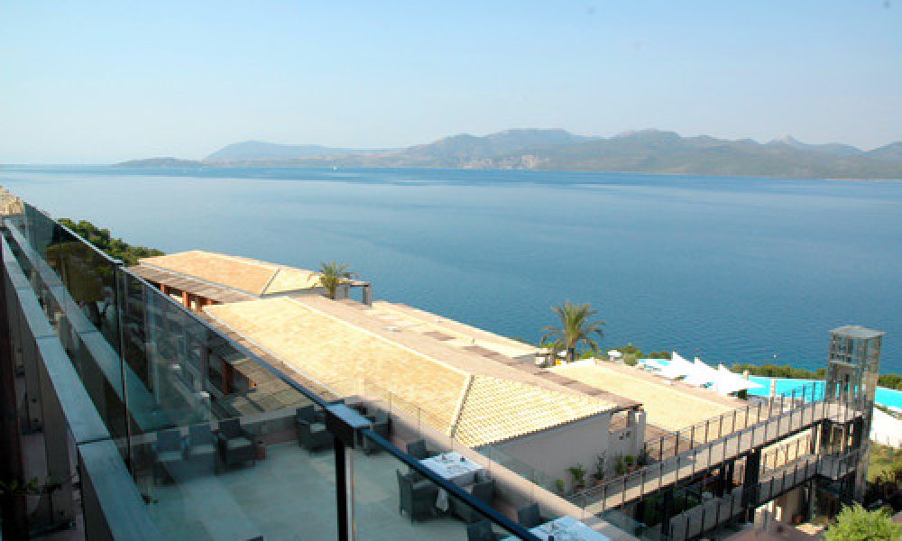 big_DSC_0173-1